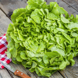 02_Logo_NK_registere