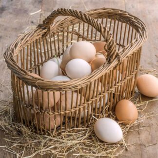 Huhn-Eier_SHOP_01.jp