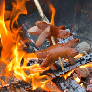 Cervelat_01_950pix_.