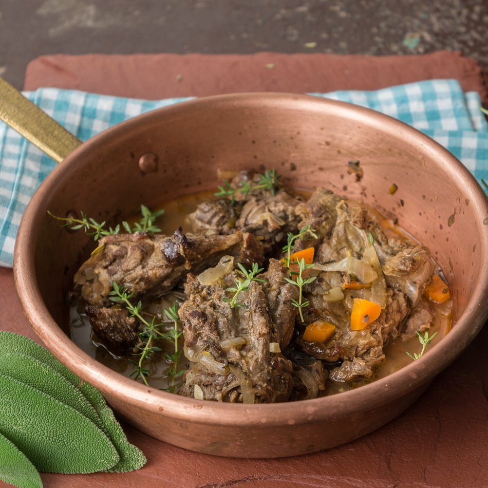 Murmeltier_Marmotta_