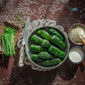 Wild Capuns - SHOP 0