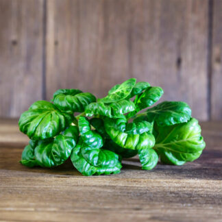 02_Logo_NK_registere