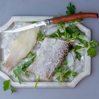 Zander_neu_01_SHOP.j