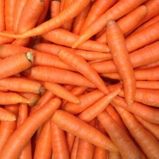 karotten.jpg