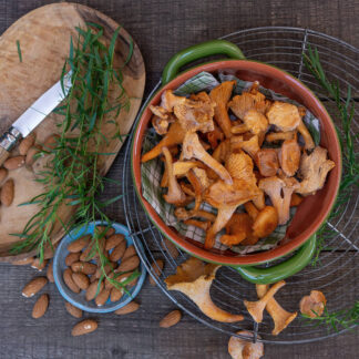 Cicorino_Rosso_SHOP.