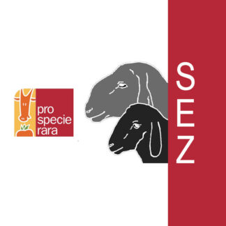 02_Voressen_Lamm_950