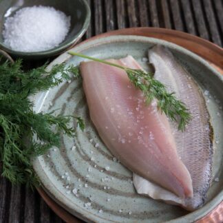 Felchen_Filet_SHOP.j