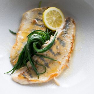 Zander_neu_02_SHOP.j