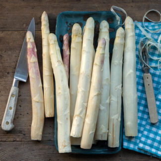 Spargel_weiss_SHOP.j
