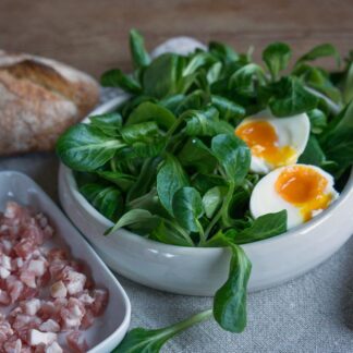 02_Logo_NK_registere