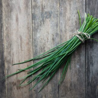 02_Logo_NK_registere