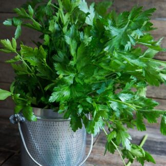 02_Logo_NK_registere