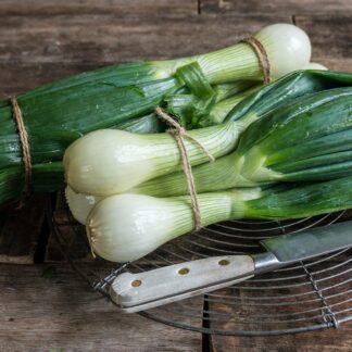 02_Logo_NK_registere