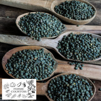 02_Logo_NK_registere