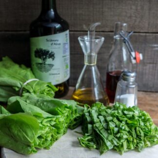 02_Logo_NK_registere